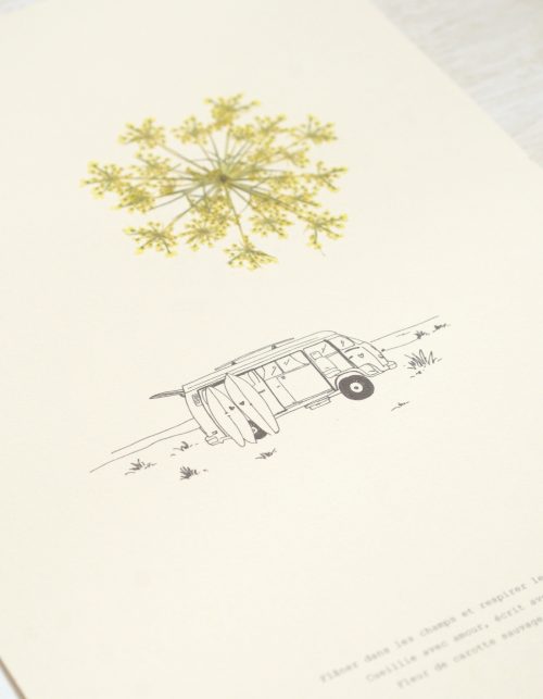 Herbier poétique Carotte • 23fleurs x Narrature