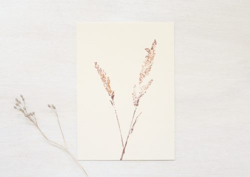 Graminées - petite affiche Nature • 23janvier