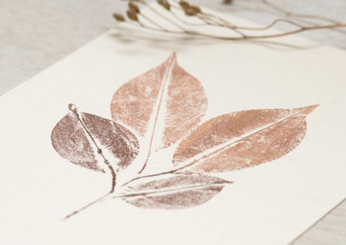 Merisier - affiche feuilles d'arbre • 23janvier