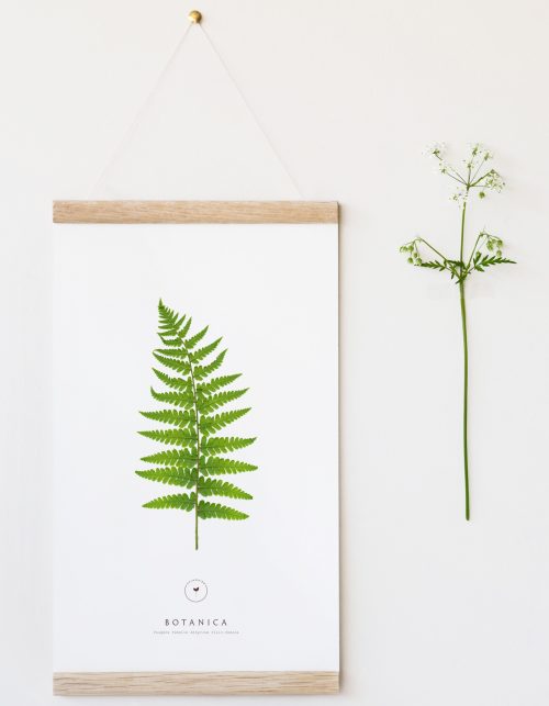 Affiche fougère • décoration nature • 23janvier