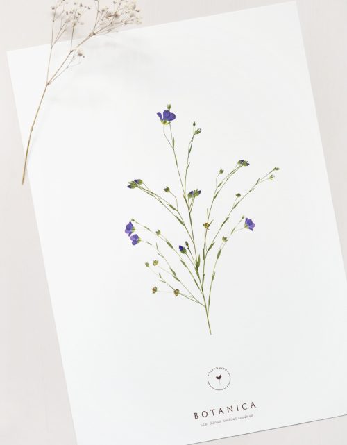 Affiche Lin - décoration florale • 23janvier