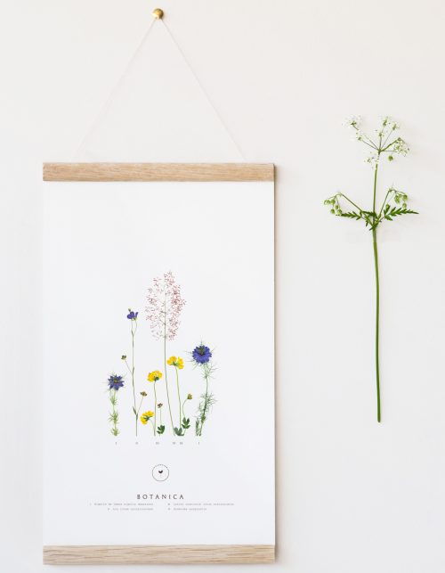 Affiche fleurs sauvages • 23janvier
