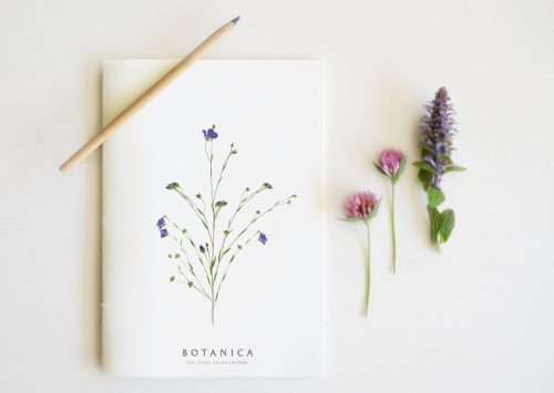 Carnet Fleur de Lin - papeterie artisanale • 23janvier