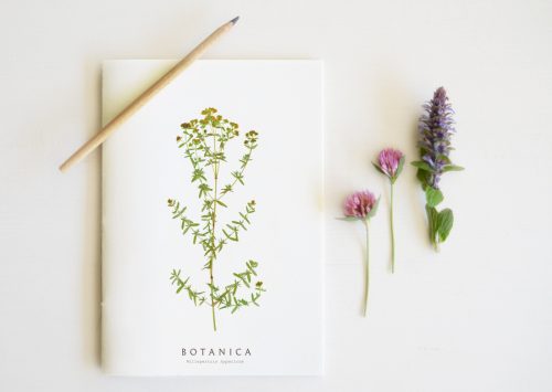 Carnet Millepertuis - papeterie artisanale • 23janvier
