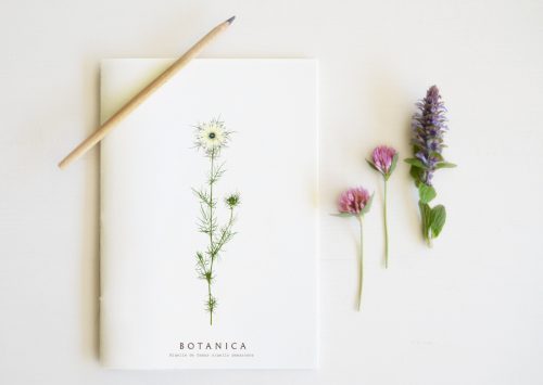 Carnet Nigelle - papeterie florale • 23janvier