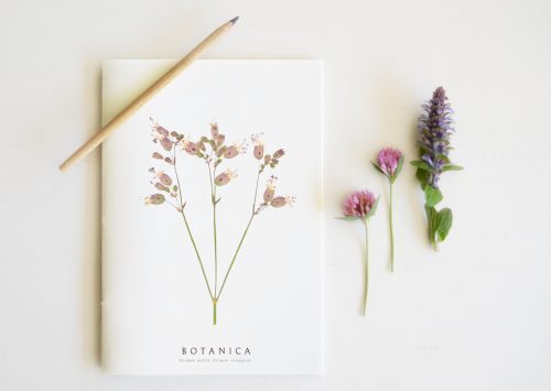 Carnet Silène - papeterie florale • 23janvier