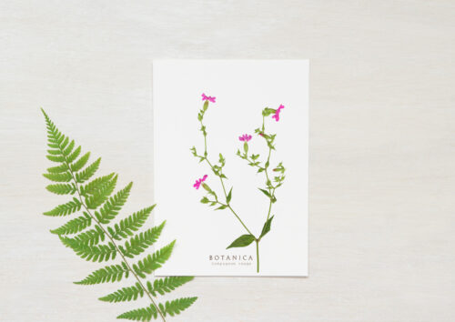 Carte Compagnon - papeterie fleurie • 23janvier