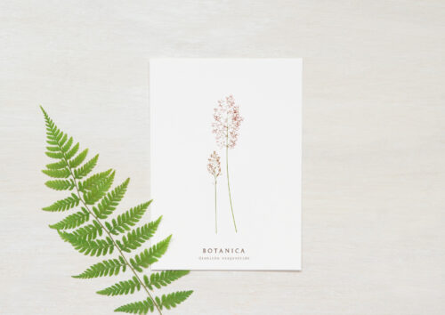 Carte Graminée - papeterie nature • 23janvier