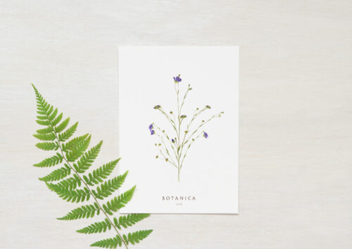 Carte Lin - papeterie fleurie • 23janvier