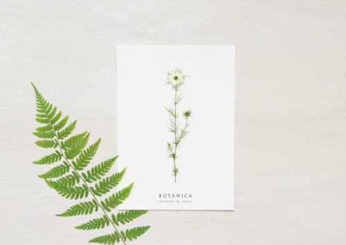 Carte Nigelle - papeterie fleurie • 23janvier