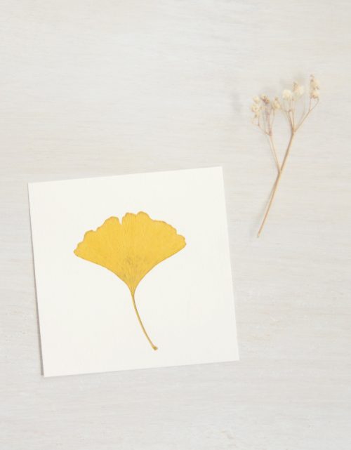 Herbier Ginkgo - petite carte végétale • 23janvier