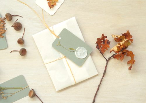 Petites cartes de Noël - plantes séchées • 23janvier