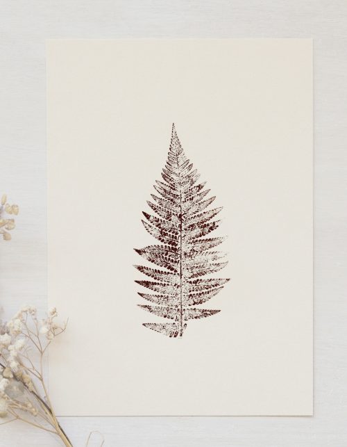 Affiche Fougère - illustration feuille • 23janvier