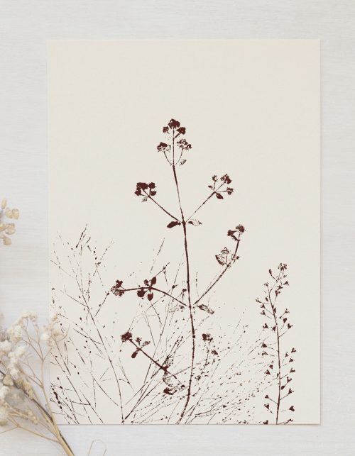 Affiche Prairie - illustration fleurie • 23janvier