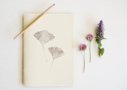 23janvier • carnet artisanal Ginkgo