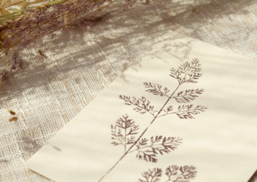 Carte Carotte - papeterie nature • 23janvier