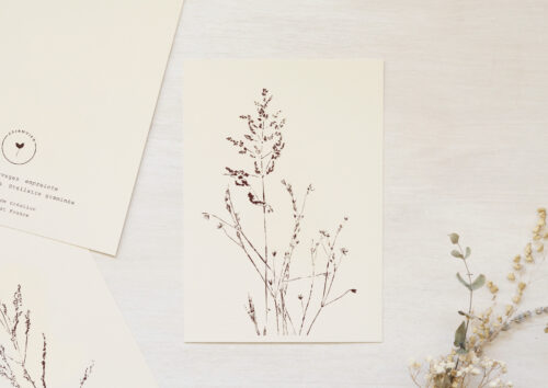 Carte Fleurs sauvages - papeterie artisanale • 23janvier
