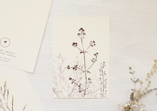 Carte Prairie d'été - papeterie fleurie • 23janvier