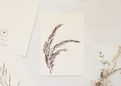 Carte Roseau - papeterie fleurie • 23janvier
