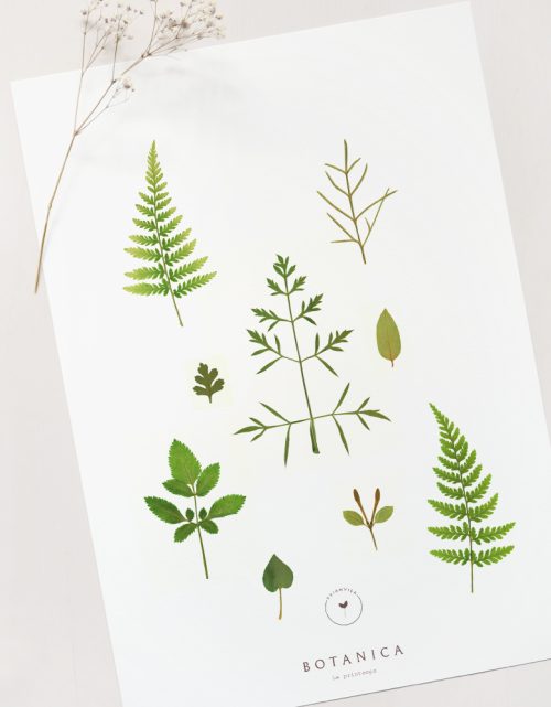 Affiche Printemps - illustration nature • 23janvier