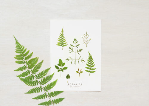 Carte Printemps - papeterie végétale • 23janvier