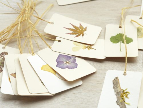 Petites cartes herbiers - plantes séchées • 23janvier