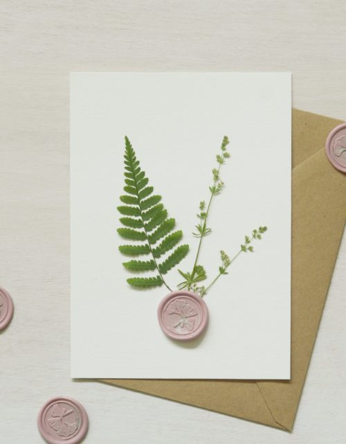 Herbier Fougère avec cachet de cire • 23janvier