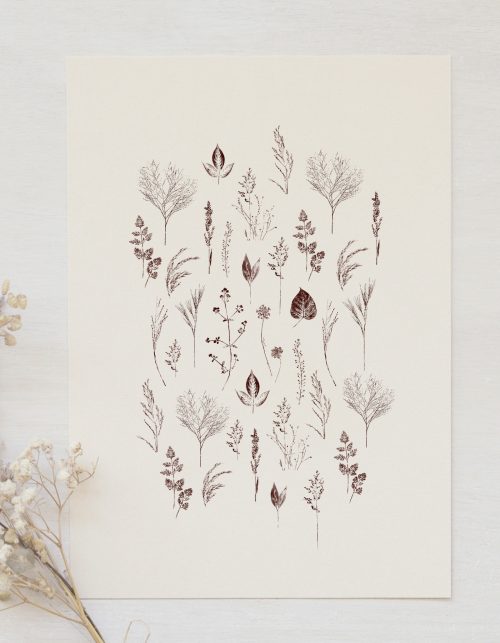 Affiche Jardin - fleurs sauvages • 23janvier