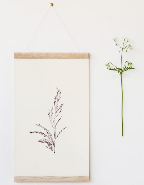 Affiche Rive sauvage - illustration fleurie • 23janvier