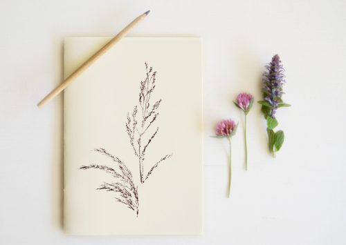 Carnet Rive sauvage - papeterie fleurie • 23janvier