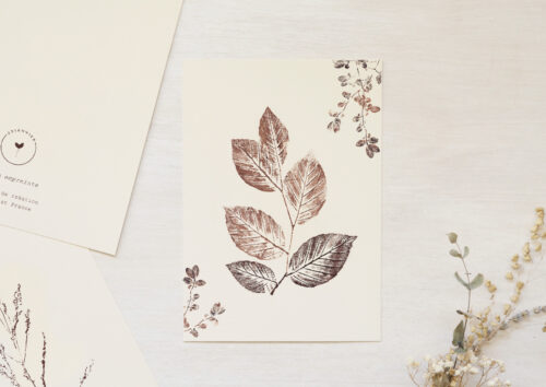 Carte Hêtre - papeterie nature • 23janvier