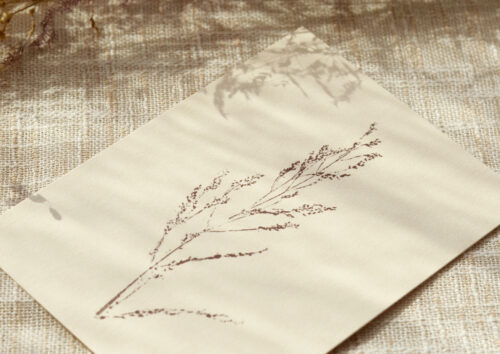 Carte Oseille - papeterie fleurie • 23janvier