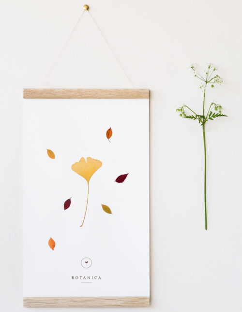 Affiche Automne - décoration nature • 23janvier