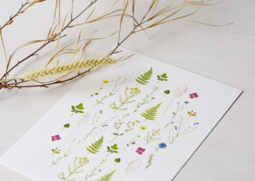 Carte Jardin Botanica - illustration fleurie • 23janvier