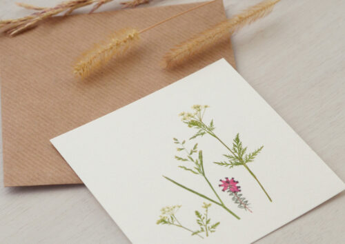 Petite carte Fleurie - illustration de fleurs sauvages imprimée sur un beau papier de création | Carte fleurie format 10x10 • atelier 23janvier