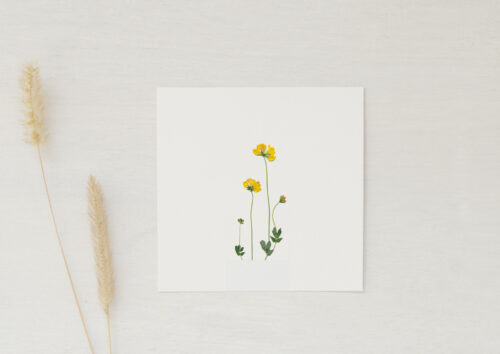 Petite carte fleurie • papeterie artisanale • 23janvier