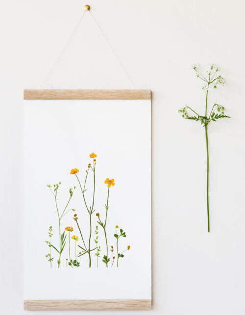 Affiche Fleurs sauvages - décoration nature • 23janvier