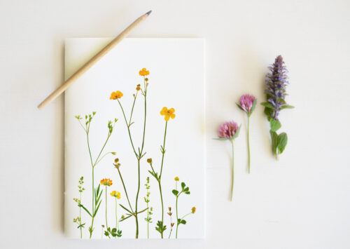 Carnet Fleurs sauvages - papeterie artisanale • 23janvier