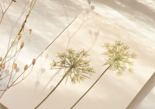 Carnet herbier Fleur • papeterie artisanale • 23janvier
