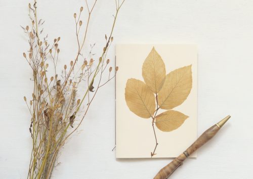 Carnet herbier Feuillage • papeterie artisanale • 23janvier