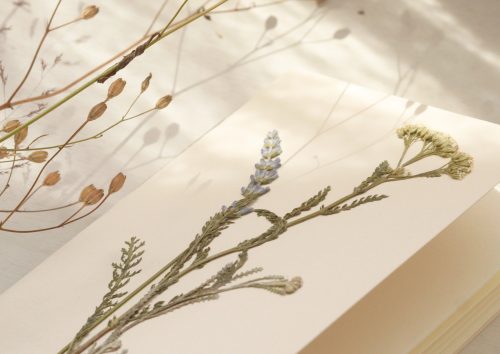 Carnet herbier fleurs • papeterie artisanale • 23janvier