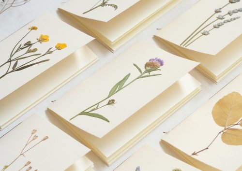 Carnets herbiers • papeterie artisanale • 23janvier