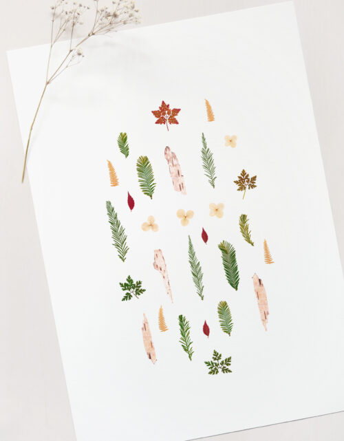 Affiche Hiver - décoration nature • 23janvier