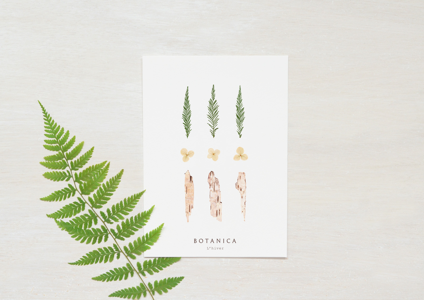 Carte Hiver - papeterie nature • 23janvier