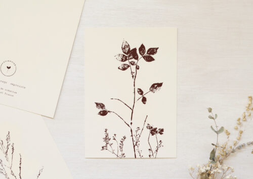 Carte Rosier sauvage - papeterie nature • 23janvier