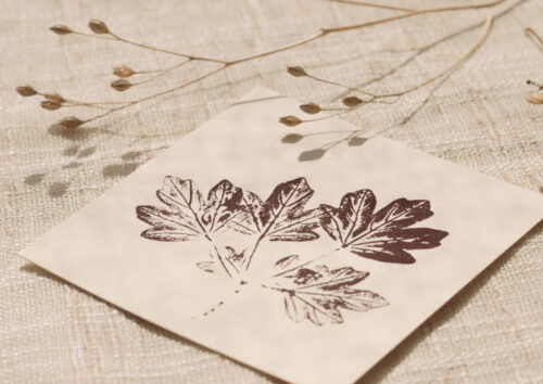 Petite carte végétale • feuilles d'arbre • 23janvier