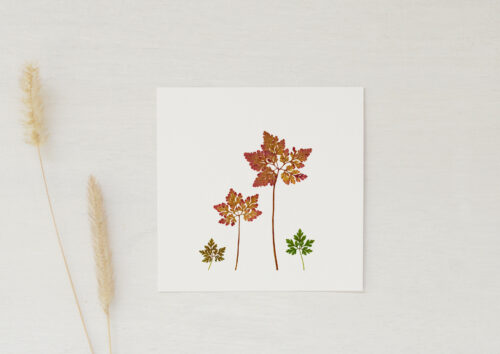 Petite carte Automne • papeterie artisanale • 23janvier