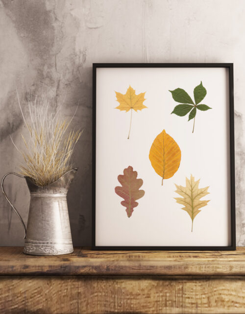 Herbier Feuilles pressées - création unique • 23janvier