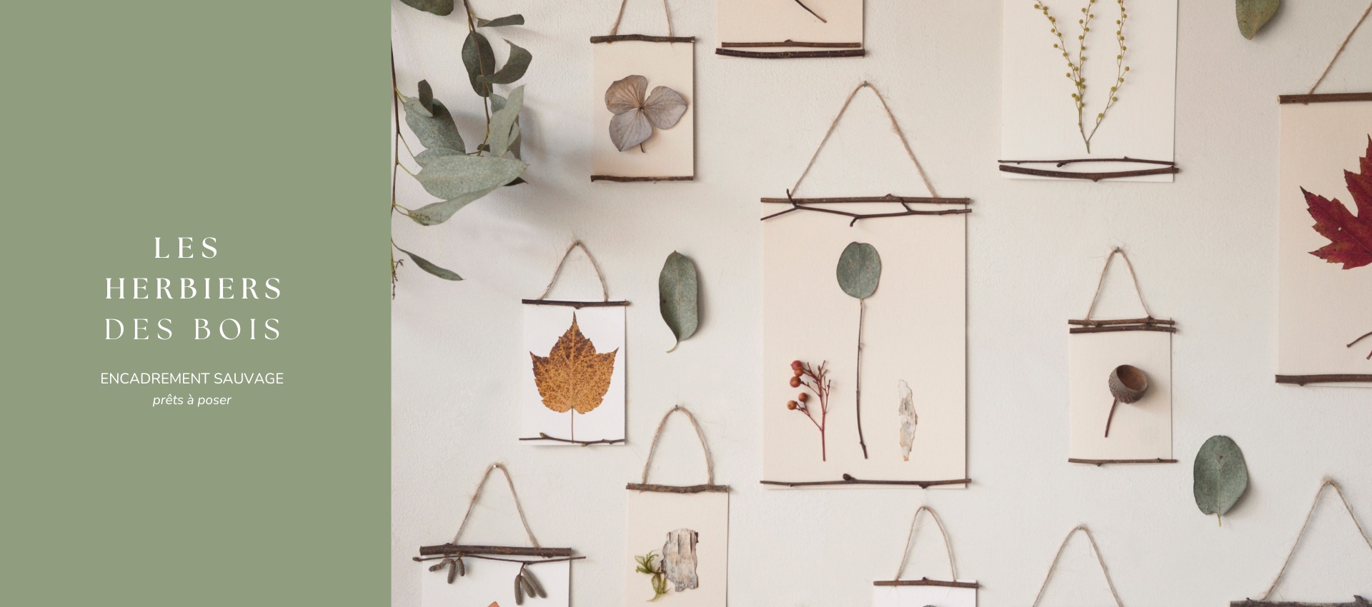 flex_herbiers_bois_02_1920x850_23janvier