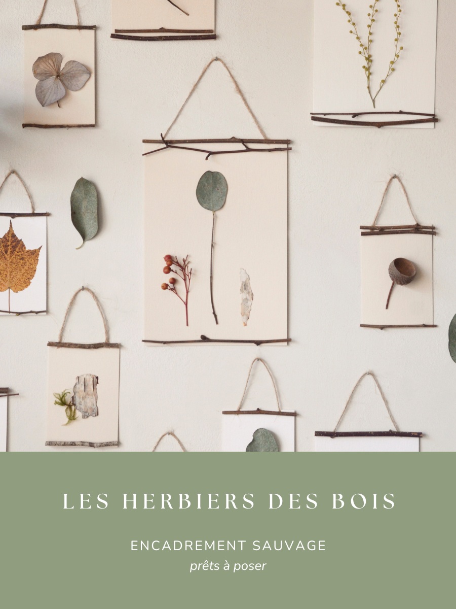 flex_herbiers_bois_mobile_23janvier (900 x 1200 px)